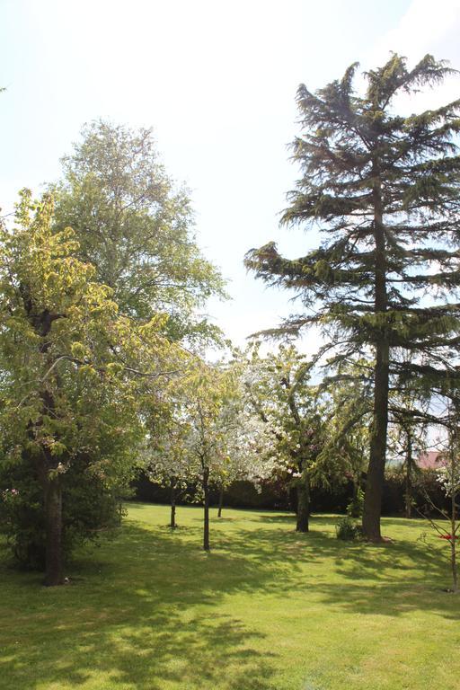 Les Logis Du Breuil Bed and Breakfast Marchéville Buitenkant foto